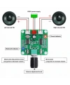 XH-A158 PAM8403 Bluetooth 5.0 Kablosuz Hoparlör Amplifikatör Devresi