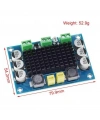 XH-M542 TPA3116D2 100W Mono Kanal Dijital Amfi Devresi 12-26V