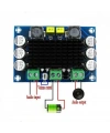 XH-M542 TPA3116D2 100W Mono Kanal Dijital Amfi Devresi 12-26V
