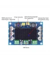 XH-M542 TPA3116D2 100W Mono Kanal Dijital Amfi Devresi 12-26V
