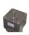 YN100-140 220V 260RPM AC Motor
