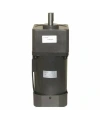 YN100-180 220V 130RPM AC Motor