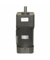 YN100-180 220V 13RPM AC Motor