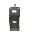 YN100-180 220V 260RPM AC Motor