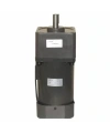 YN100-180 220V 52RPM AC Motor