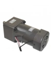YN104-120 220V 52RPM AC Motor