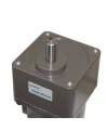 YN104-120 220V 52RPM AC Motor