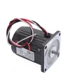 YN60-10 220V 1250RPM AC Motor
