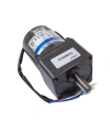YN70-15 220V 50RPM AC Motor