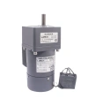 YN80-220-25 220V 13RPM Frenli AC Motor - 80JB100GN