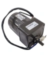 YN80-220-25 220V 420RPM AC Motor