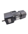 YN90-220-60 220V 13RPM Frenli AC Motor - 90JB100GN
