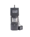 YN90-220-60 220V 13RPM Frenli AC Motor - 90JB100GN