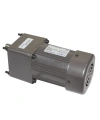 YN90-60 220V 17RPM AC Motor