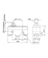 Z-15GD-B Micro Switch 3-Pin
