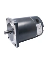 ZYT-114 24V 300W 1800RPM DC Motor