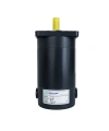 ZYT-90 24V 350W 3000Rpm DC Motor