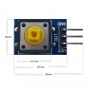 12x12mm Push Buton Switch Modül Mavi Kapak 1 Adet