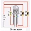 5mm RGB Led Ortak Katot - 4 Pin