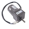 60mm 220V 50 RPM AC Motor YN60-220-10