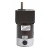 76ZY24-50 24V 152RPM DC Motor