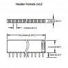 Dişi Pin Header 40 Pin 2.54mm 1x40 180° Tek Sıra