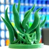 eSUN Çam Yeşili Pla+ Filament 1.75mm 1 KG