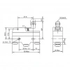 Gwest AZ-15GW22-B Kısa Metal Makaralı Mikro Switch 15A 1NO + 1NC