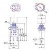 IC-139B Yaylı Buton 6mm 3P 1NO/1NC DS-612