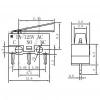 IC-162 Micro Switch Mini Paletli 1A-125V KW10-Z1P