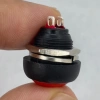 IC-184 Kırmızı Plastik Push Buton 12mm PBS-33B