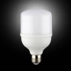 NOAS YL95-2001 20W 6500K Led Torch Ampul