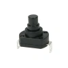 SB-31 18x13mm Yaylı Push Buton