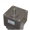 YN104-120 220V 52RPM AC Motor