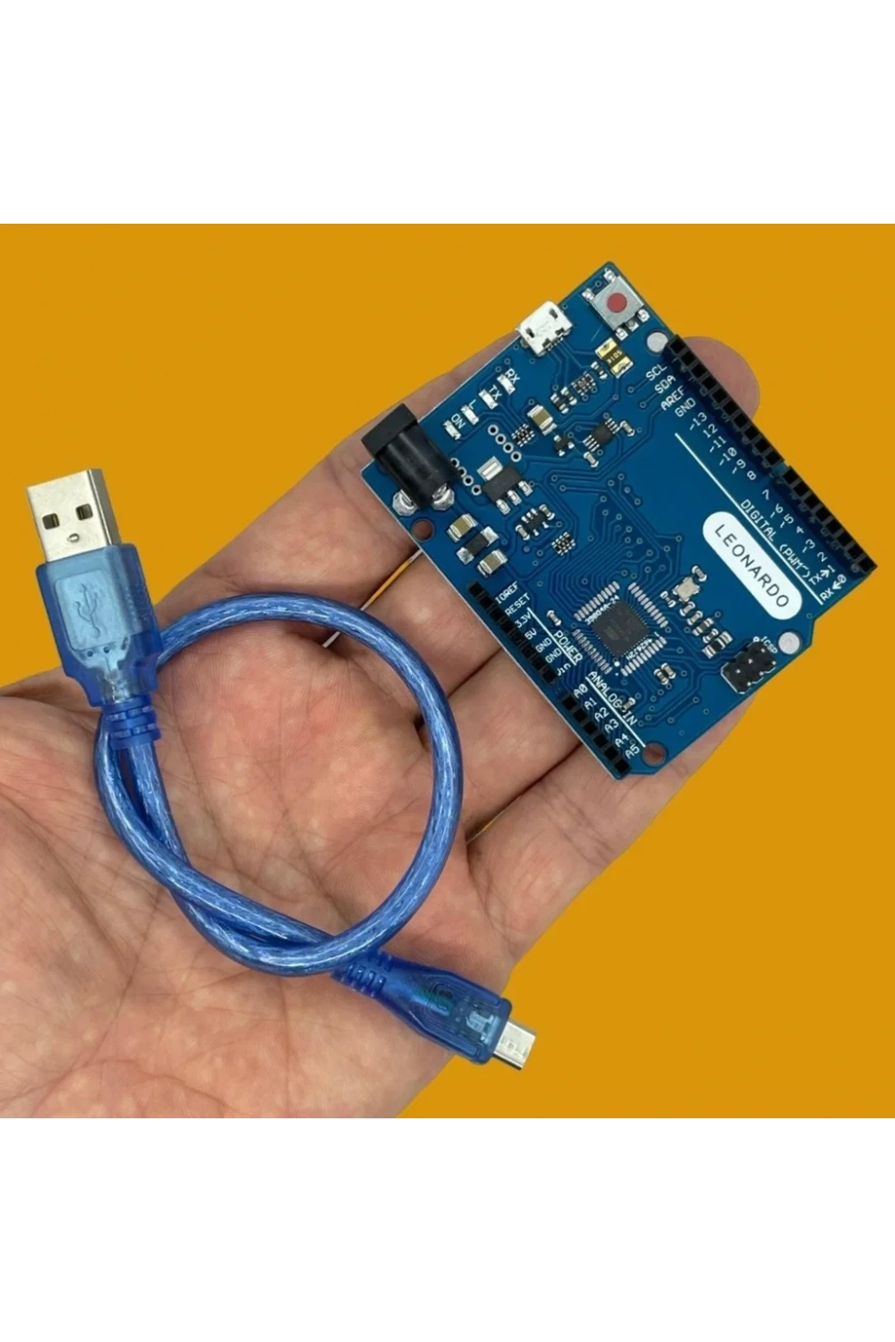 Arduino Leonardo R3 Klon + USB Kablo