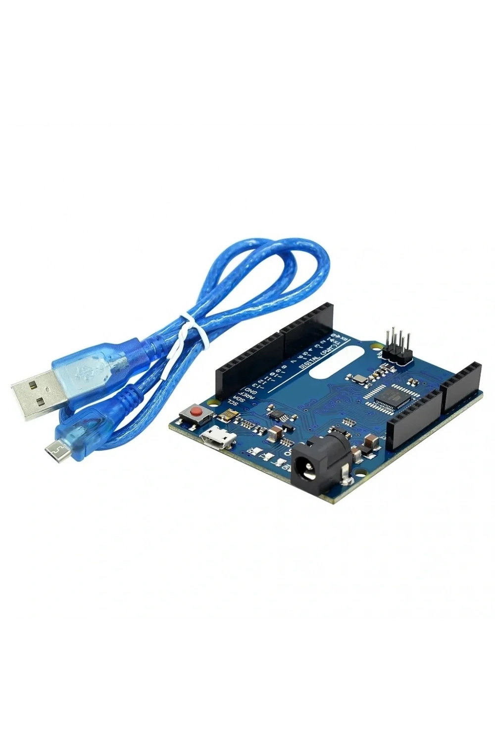 Arduino Leonardo R3 Klon + USB Kablo