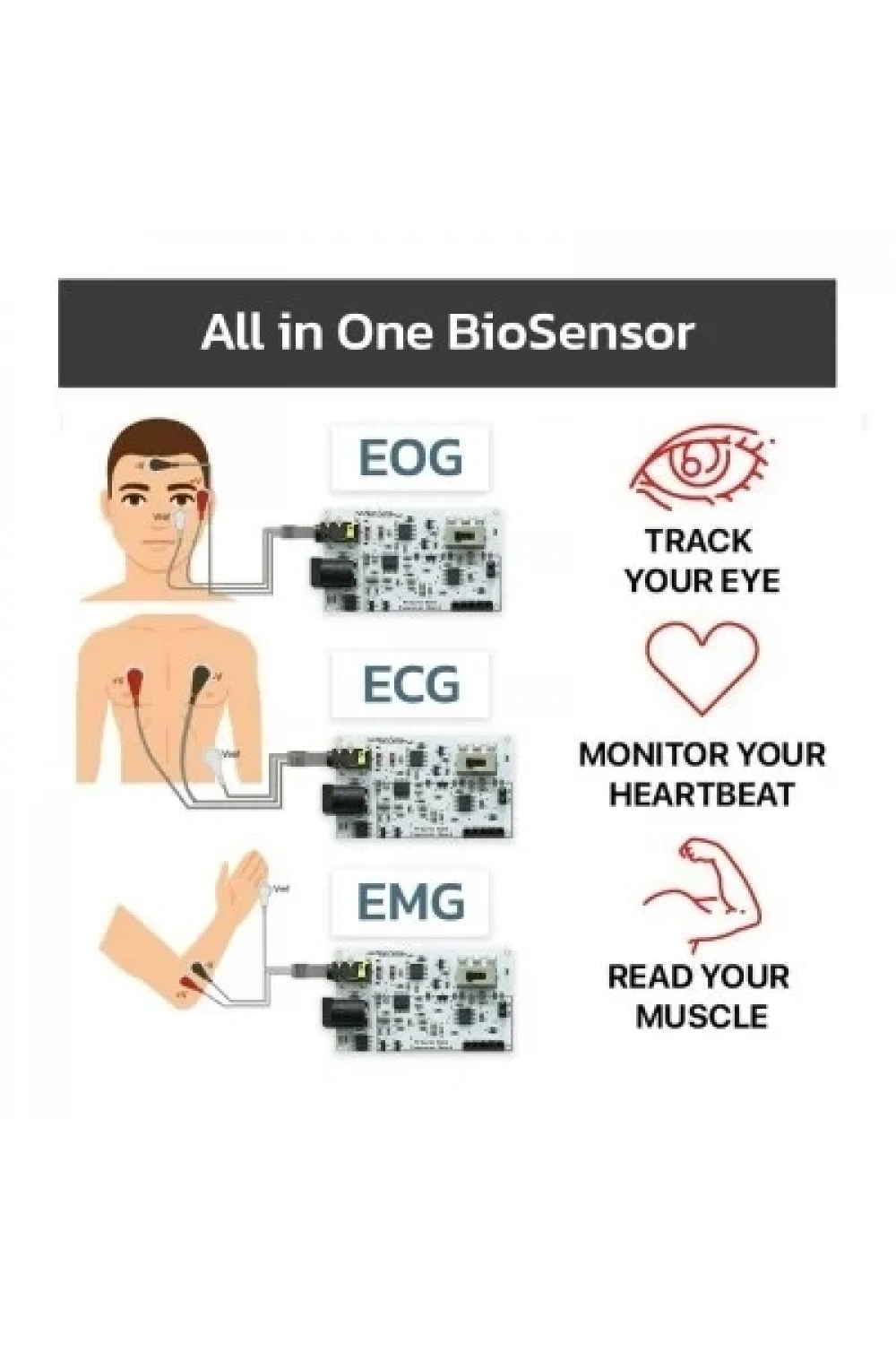 EMG EOG EKG Sensör Kartı (Kas. Göz ve Kalp Sinyalleri Algılama)