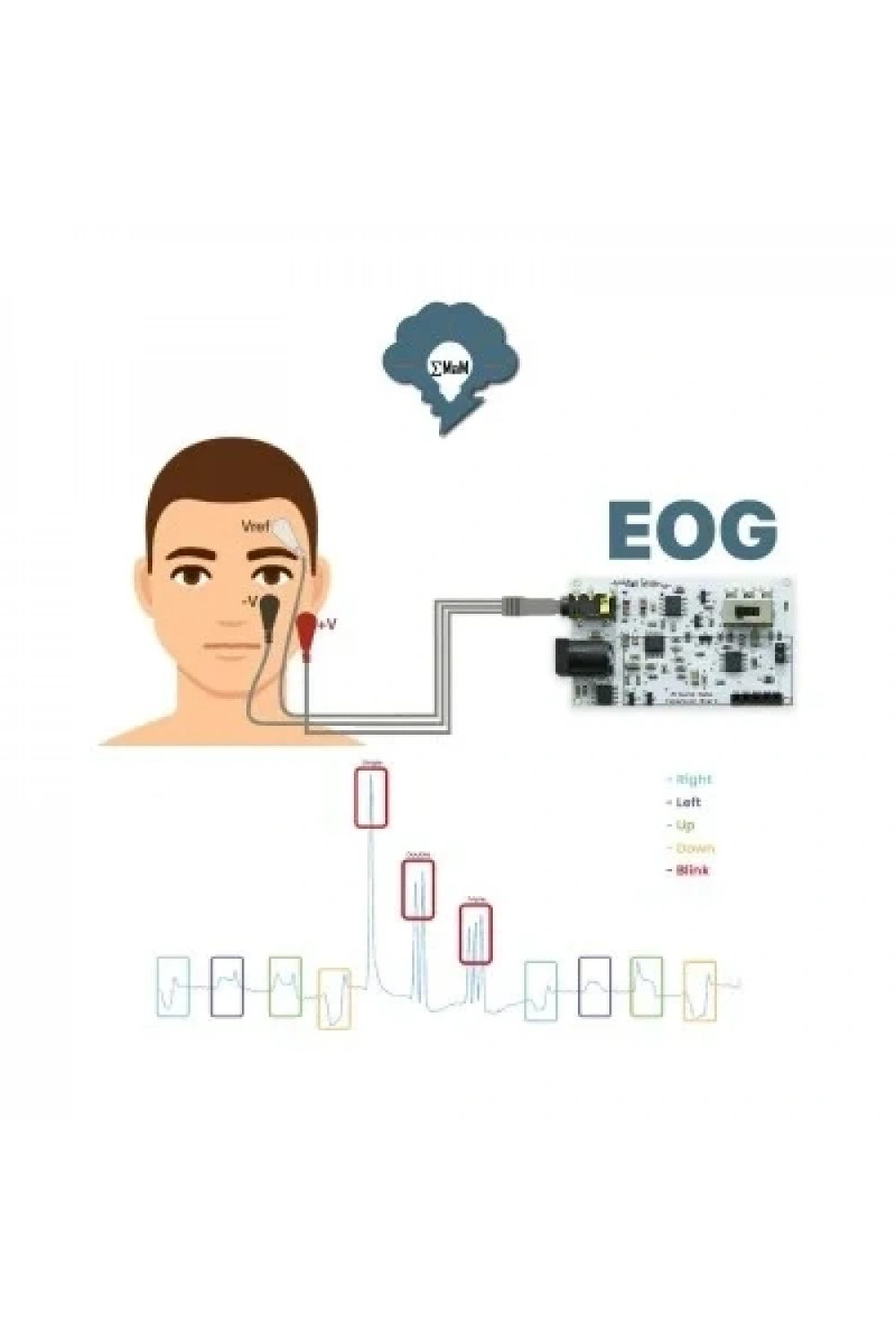 EMG EOG EKG Sensör Kartı (Kas. Göz ve Kalp Sinyalleri Algılama)