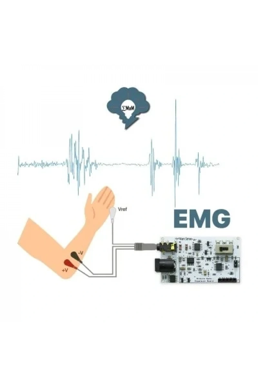 EMG EOG EKG Sensör Kartı (Kas. Göz ve Kalp Sinyalleri Algılama)