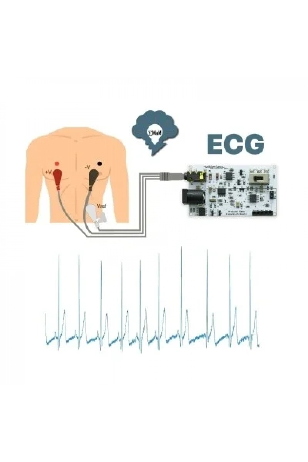 EMG EOG EKG Sensör Kartı (Kas. Göz ve Kalp Sinyalleri Algılama)