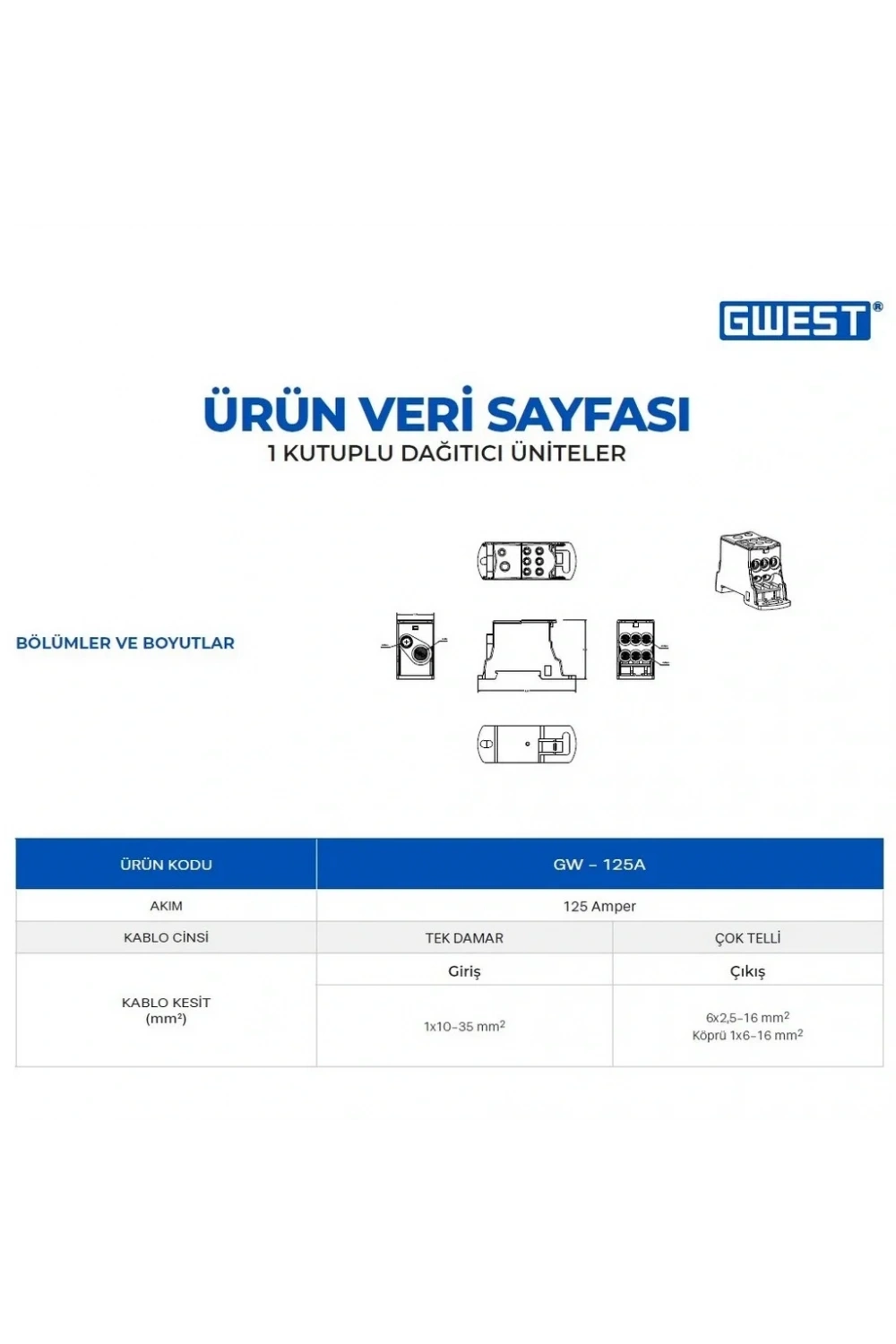 Gwest GW-125A Tek Kutuplu 125A Girişli Dağıtıcı Ünite