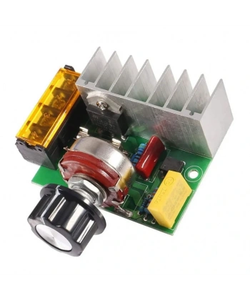 4000W 220V AC Voltaj Regülatörü Dimmer