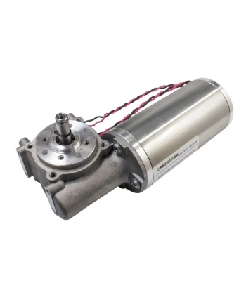 63ZYT24-95/31 24V 35W 225RPM Otomatik Kapı Motoru