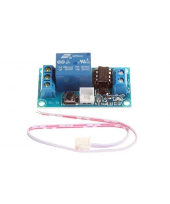 Butonlu Röle Modülü 24V 10A
