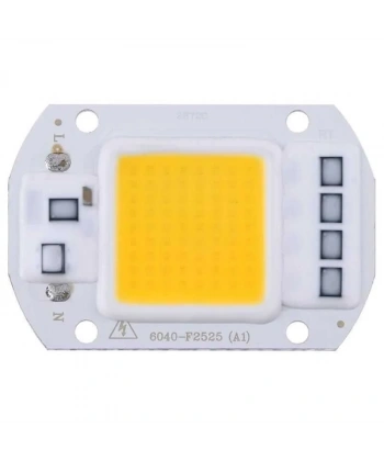 Gün Işığı 220V Projektör Cob Led 50W Driver Çipli