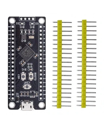 STM32F401CCU6 ARM STM32 Geliştirme Kartı