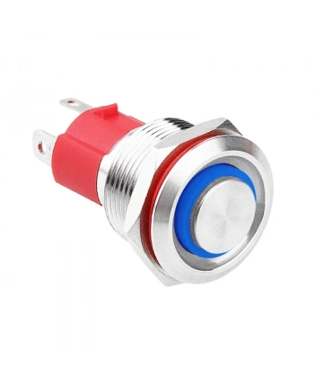 WD19D-G1Z-E 19mm Çıkık Anahtarlı Işıklı Metal Buton - Mavi