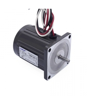 YN60-220-10 220V 1250RPM AC Motor
