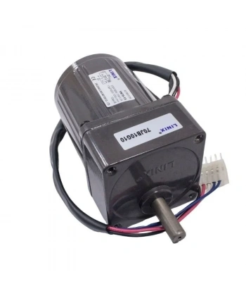 YN70-15 220V 125 RPM AC Motor