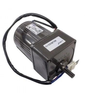 YN80-220-25 220V 420RPM AC Motor